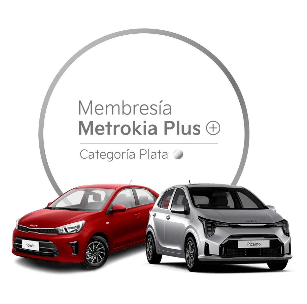 Membresía MetroKia Plus Plata